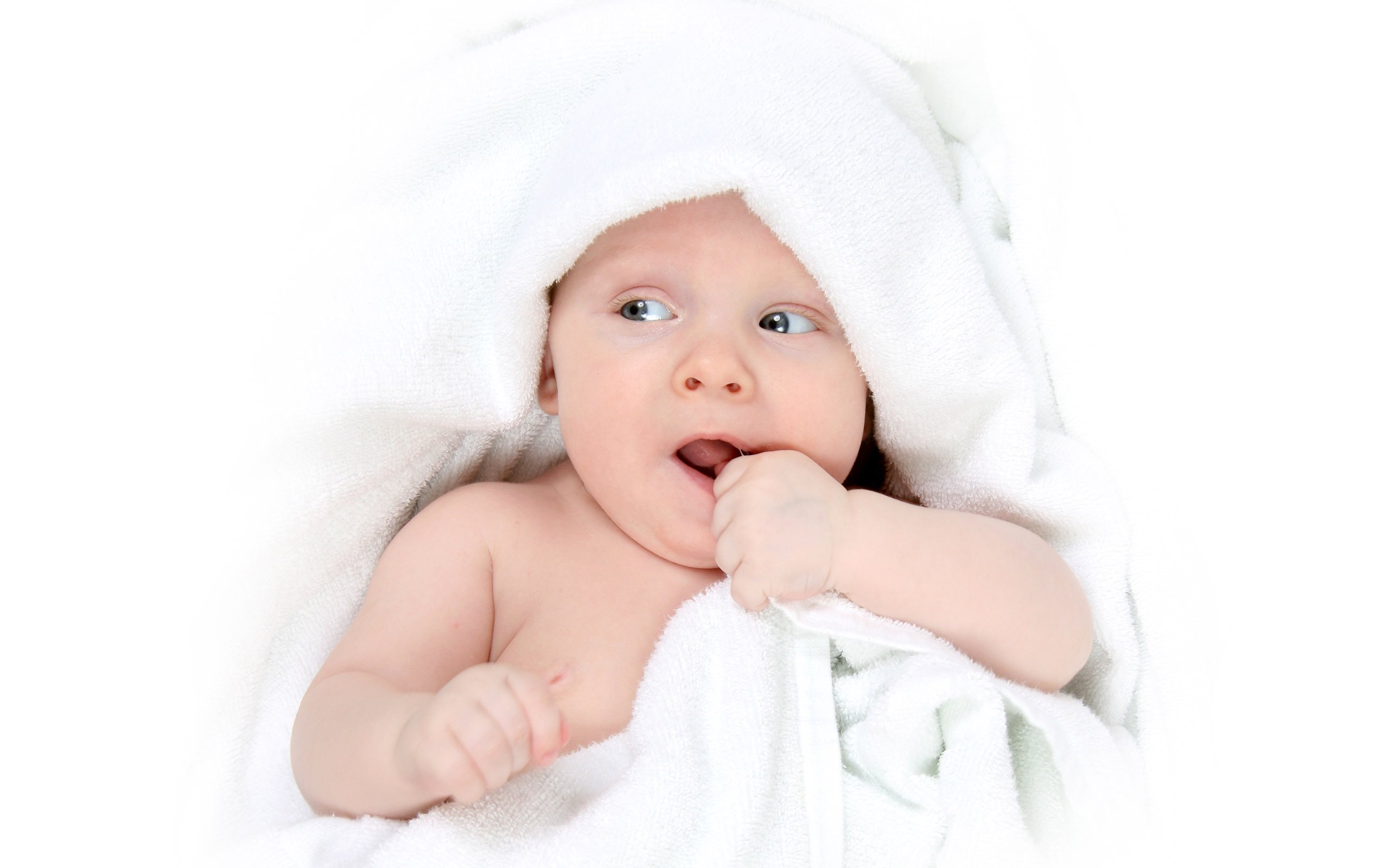 江门捐卵机构试管婴儿短期方案的卵泡