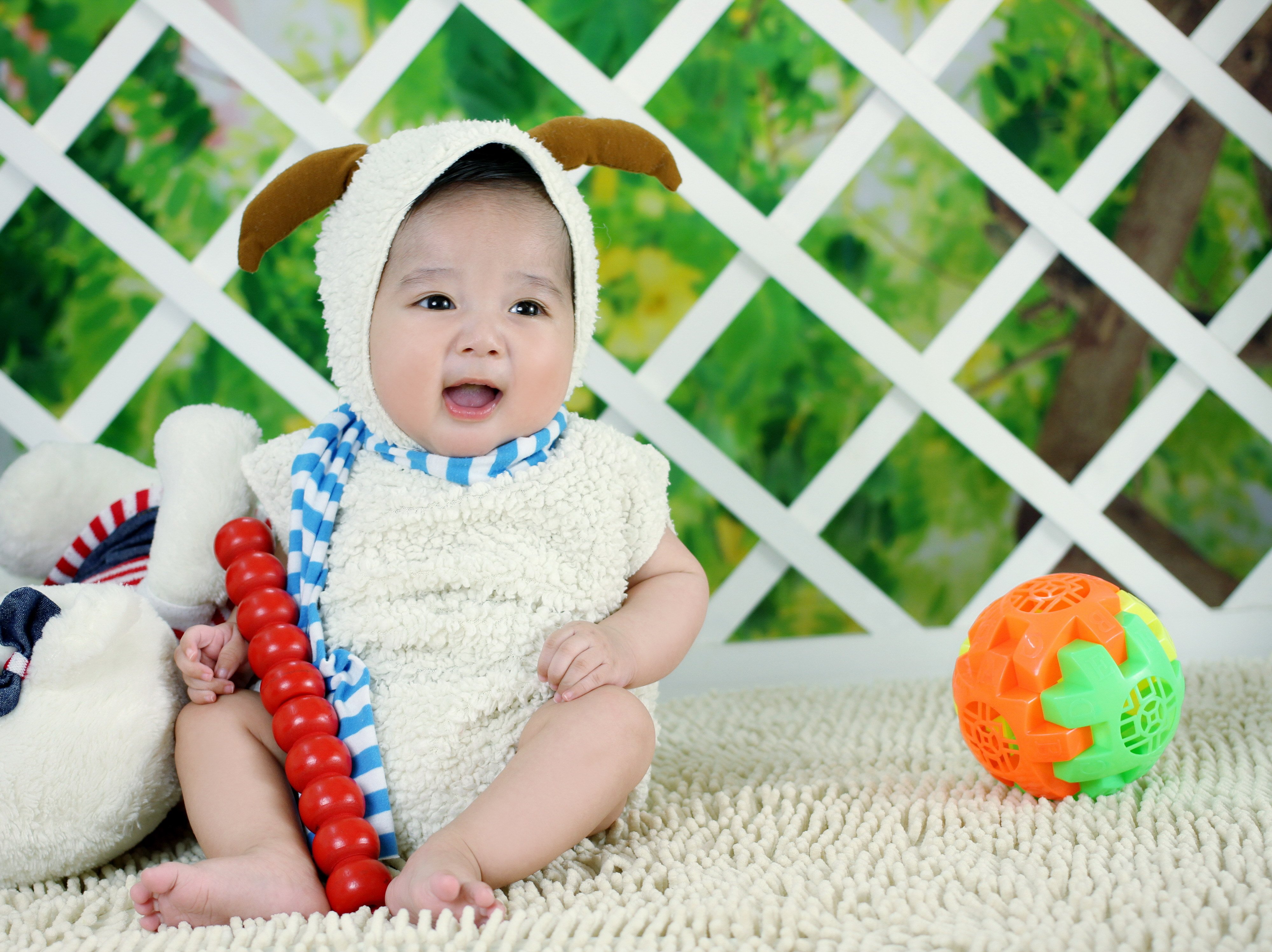 惠州借卵机构试管婴儿成功率为多少